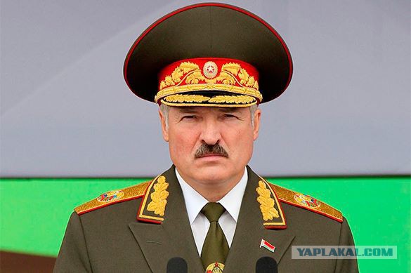 Генерал капитан на Поле чудес.