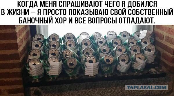 Деградировать подано, дамы и господа!