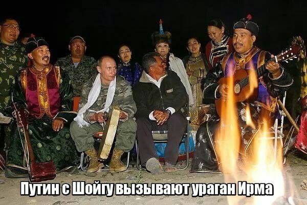 Картинки из интернетов