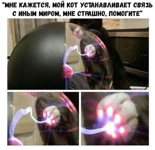 Приколы в стиле "регресс"