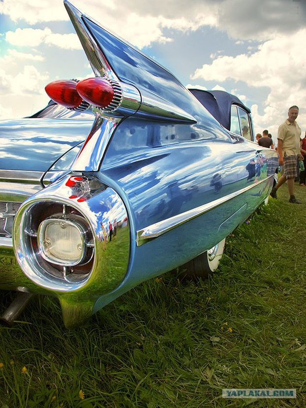 Автоэкзотика 2008 (19 фото)