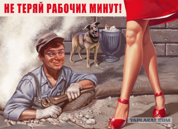 Домохозяйку арестовали за минет, который она насильно сделала ремонтнику
