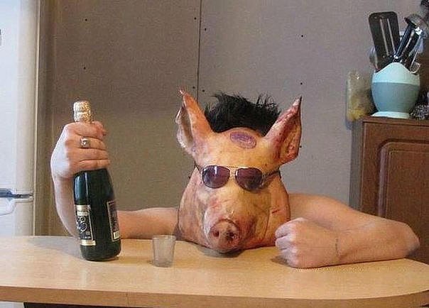 Чудики из социальных сетей