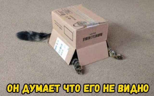 Прикольные картинки абавсём