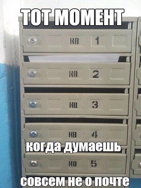 Пятница наступает! Пора начинать деградировать
