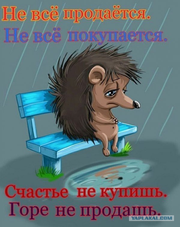 Старые жены. Что с ними делать?