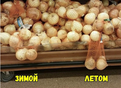 Всякая всячина