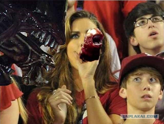 Фотожаба  Болельщица