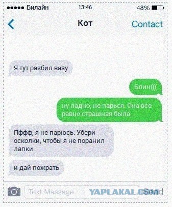 Вещи, которые будут понятны только тем, кто делит свою жилплощадь с котом