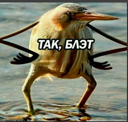 Женщины в вечном поиске - это диагноз