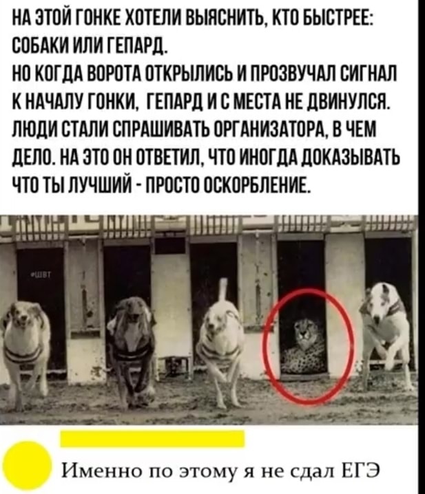 Чуток картинок. Ночные