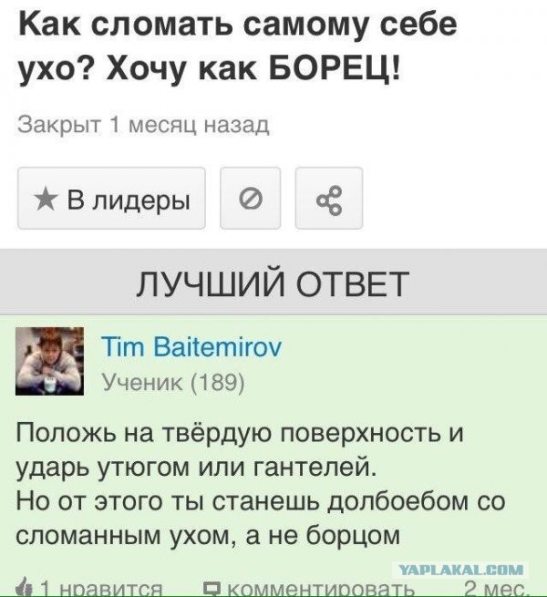 Смешные картинки. Баяны и не очень