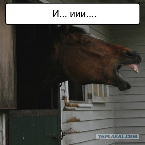 Спорим, зевнешь?))) (28 фото)