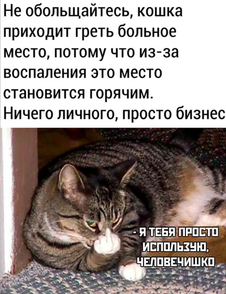 Бредзона 07.03.20