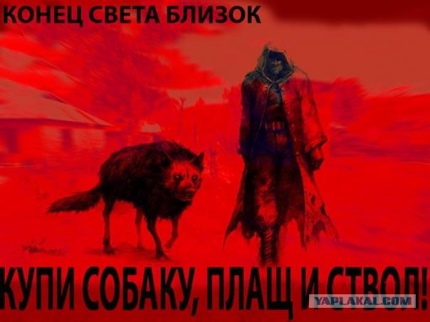 Путин призвал россиян не покупать продукты впрок