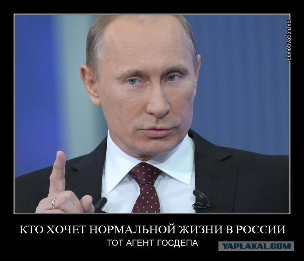 О доверии государству