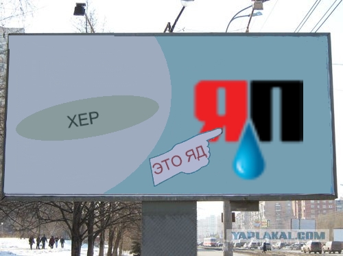Орган работает! (8 фото)