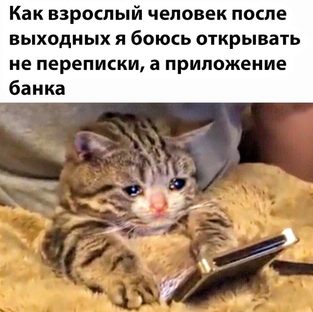 Немного картинок для настроения 07.09.20
