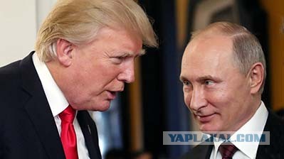 Ликование по всей Америке после того, как Байден объявлен победителем выборов