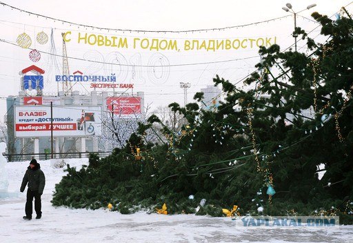 У нас в городе поставили ЙОЛКУ