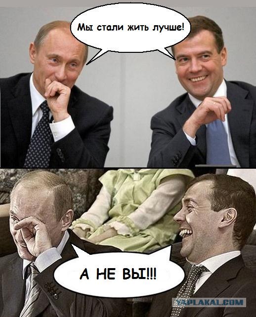 Мы стали больше сеять рожь
