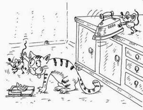 С котопятницей! Улыбнемся?