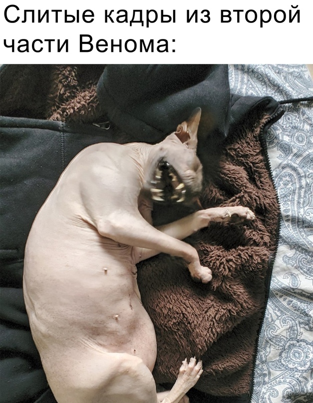 Картинки 11.02