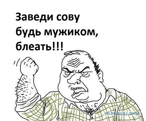 Совёнок.