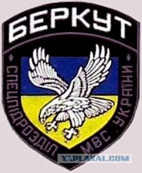 Мальчик против двух Беркутов