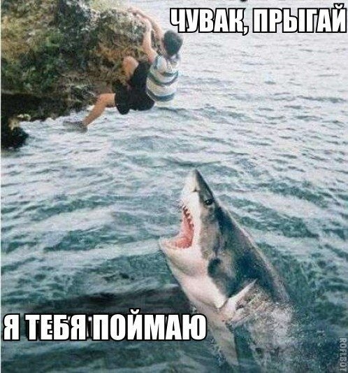 Так себе картинки 03.08.21