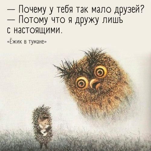 Баянисто-небаянистый юмор 10.09.21