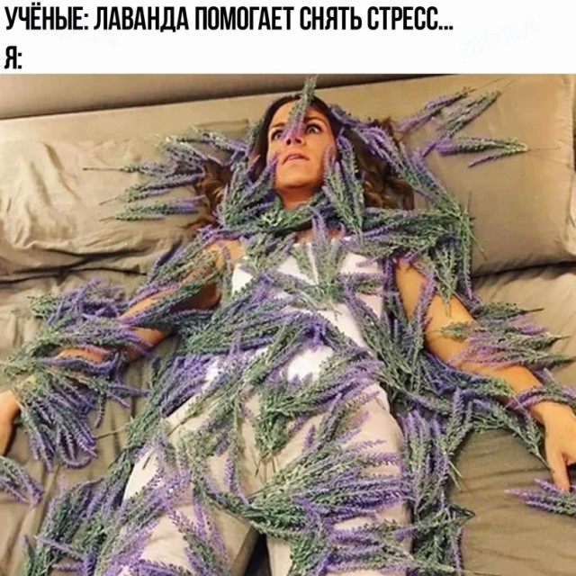 Картинки и мемы, всем прекрасных выходных