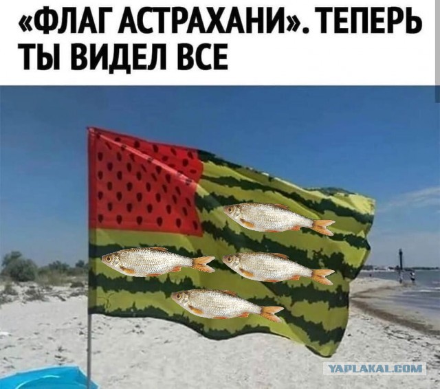 Так себе картинки 01.11.2021
