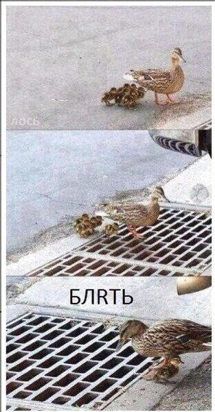 Так себе картинки 16.12.2021