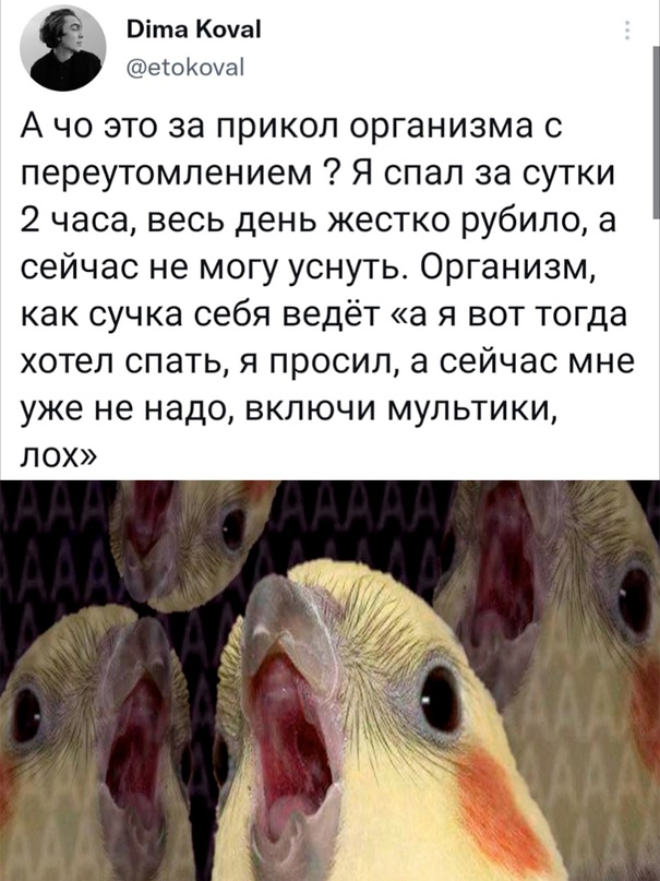 Весёлый полтишок 18.02