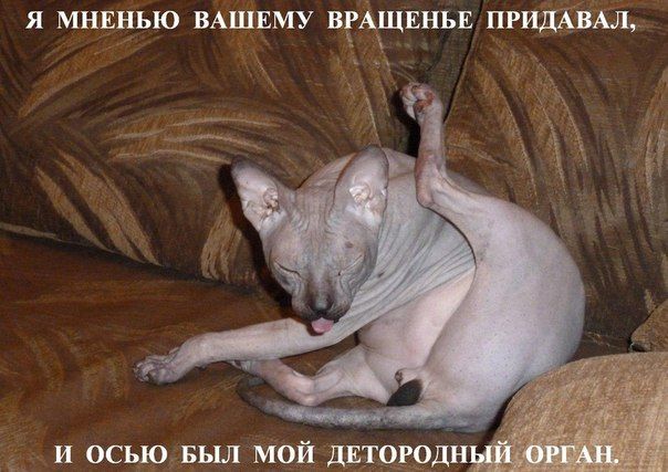 Пандемия. Коронавирус. Россия и мир. Часть 30.