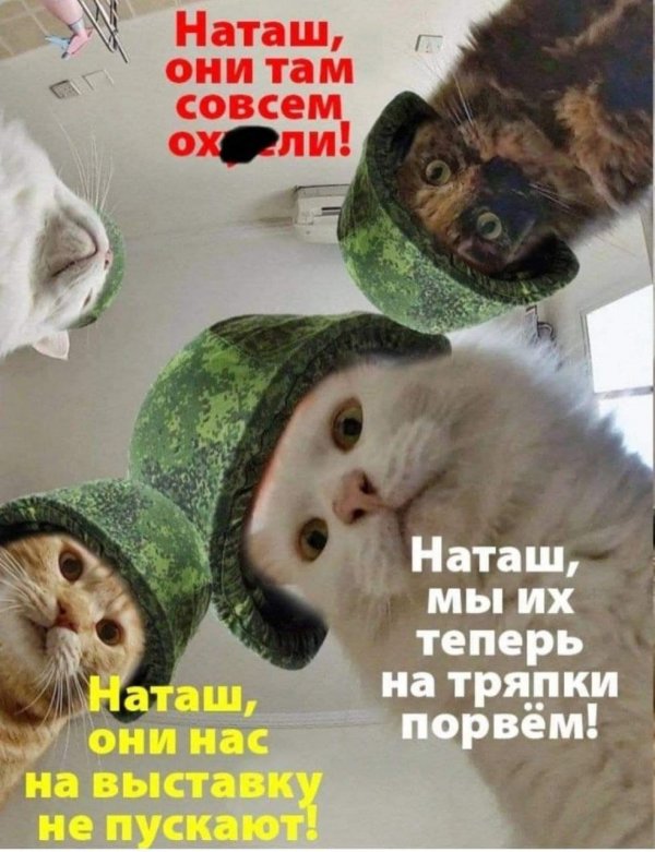 Прикольные и просто красивые картинки 14.03.2022