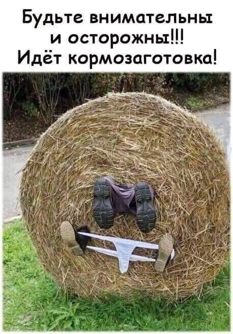 Картинки и мемы для настроения - 15