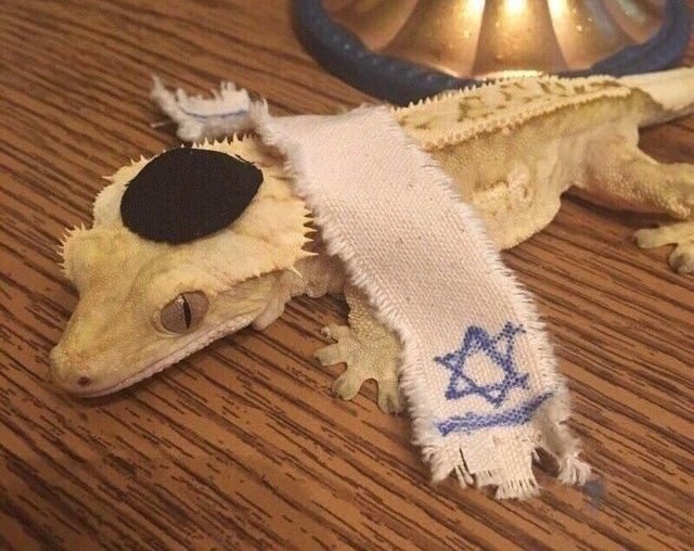 Шалом