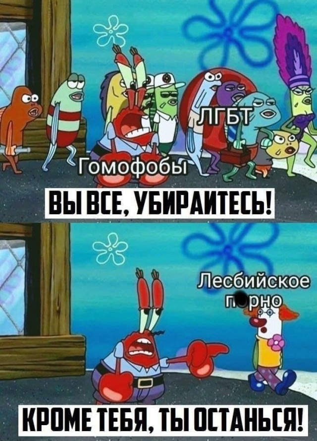 Весёлый полтишок 18.08.22
