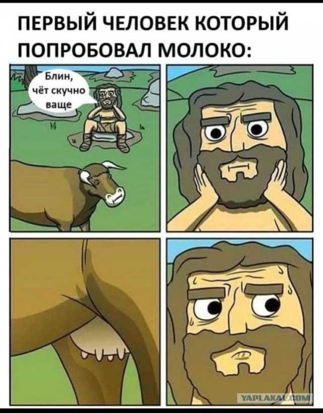 Весёлый полтишок 12.10.22