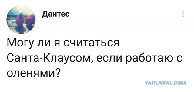 Скриншоты и комментарии из социальных сетей 28.12.22