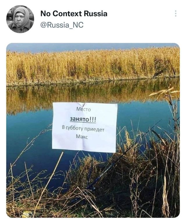 Немного картинок для настроения - 139