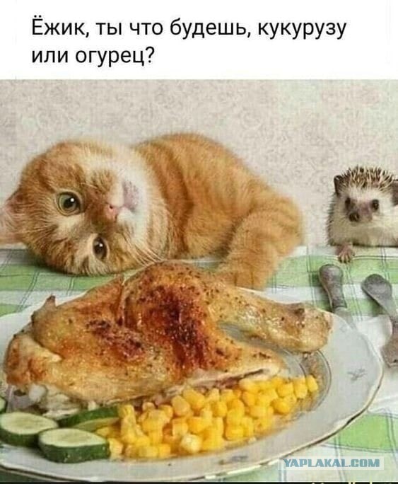 Прикольные и просто красивые картинки 27.06.2023