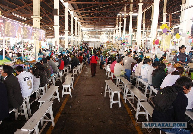 Латинская америка: правила жизни в путешествии