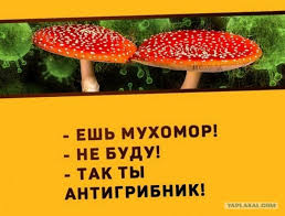 В Барселоне накануне прошел митинг движения "Птиц не существует"