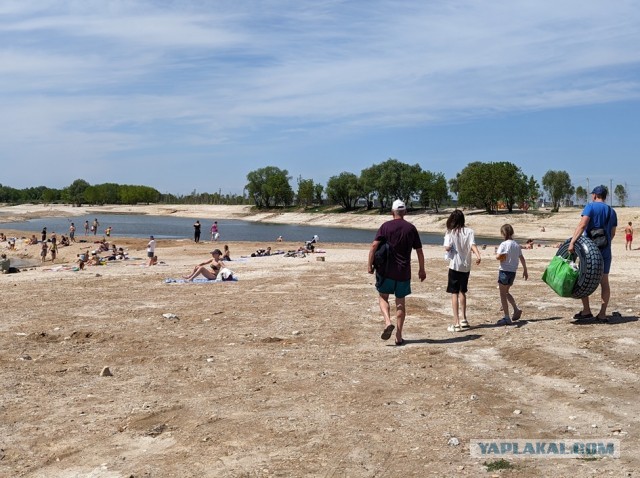 Во время охоты большая белая акула может выпрыгивать из воды на несколько метров