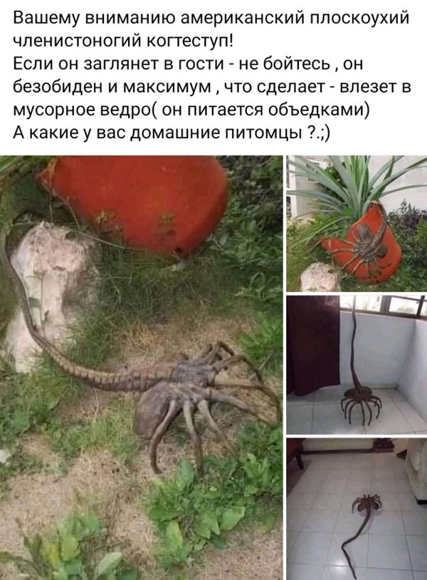 Последняя пятница на этой неделе, господа