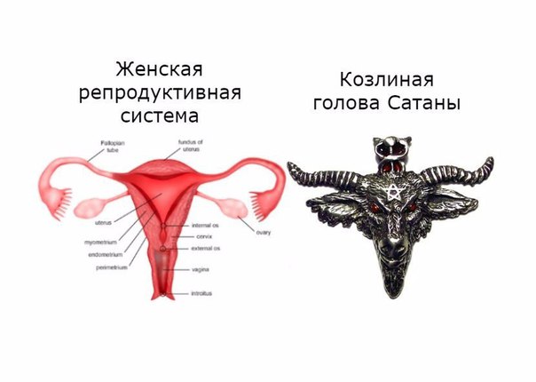 Так себе картинки 22.07.24