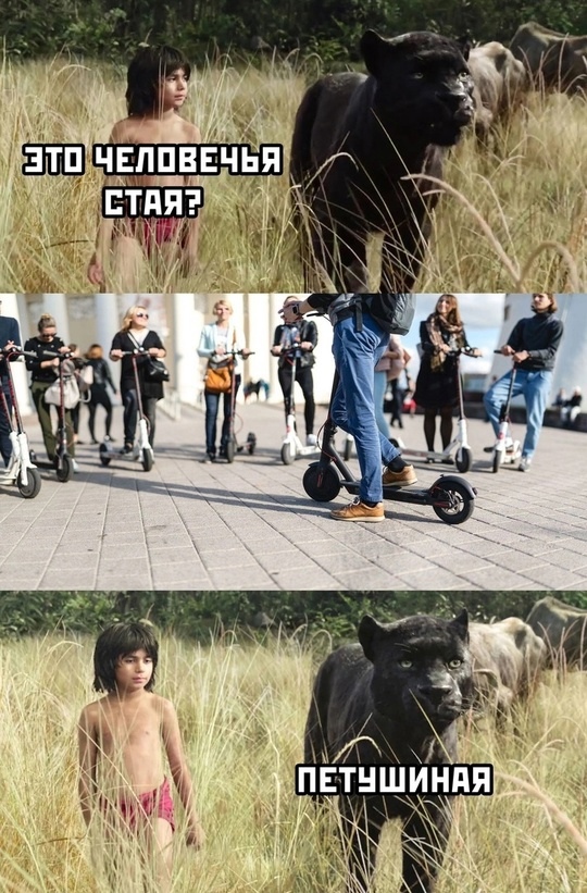Завалялось тут случайно немного забавных картинок